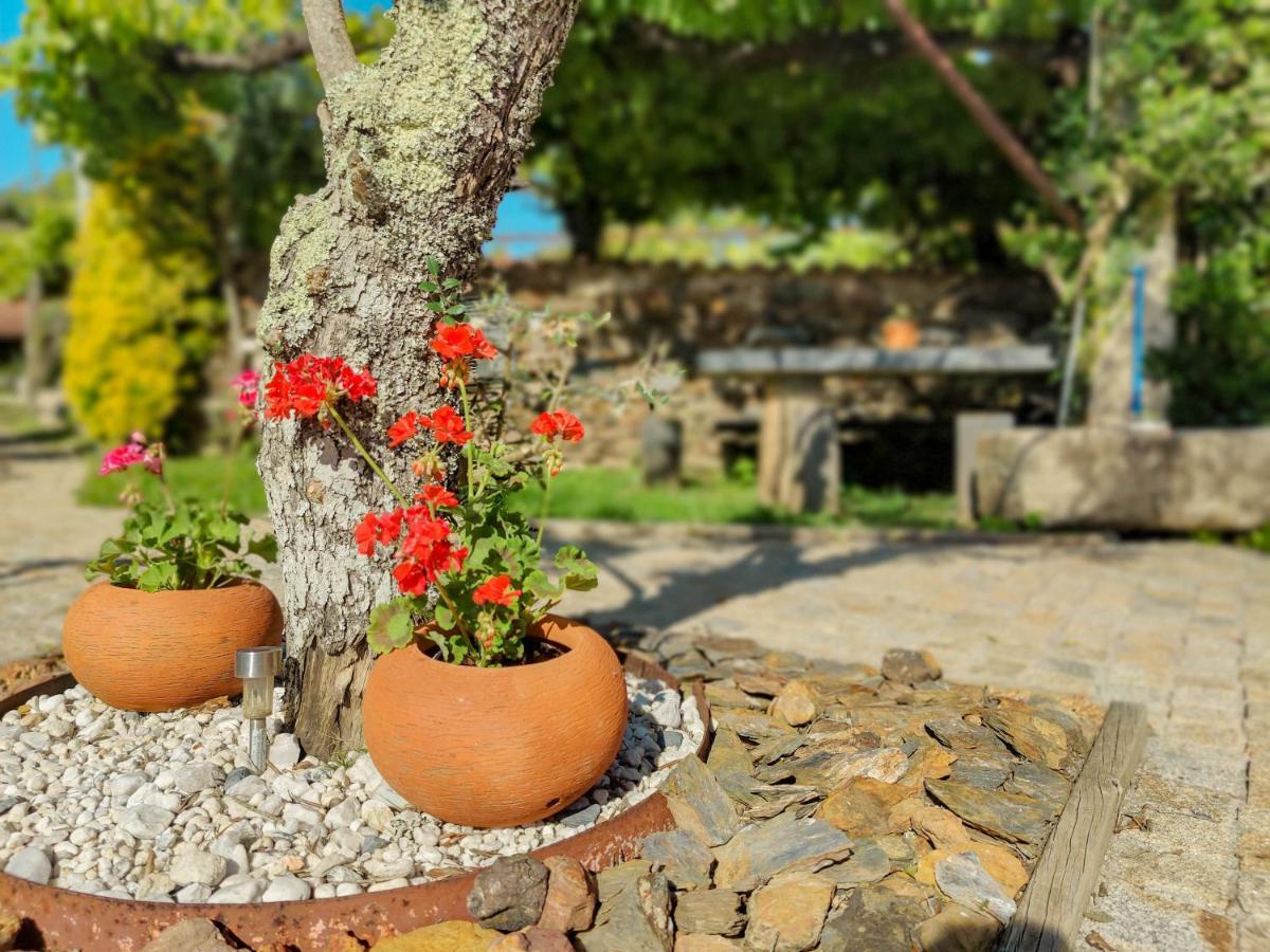Casa Do Casal - Country House With Swimming Pool 비아나도카스텔로 외부 사진