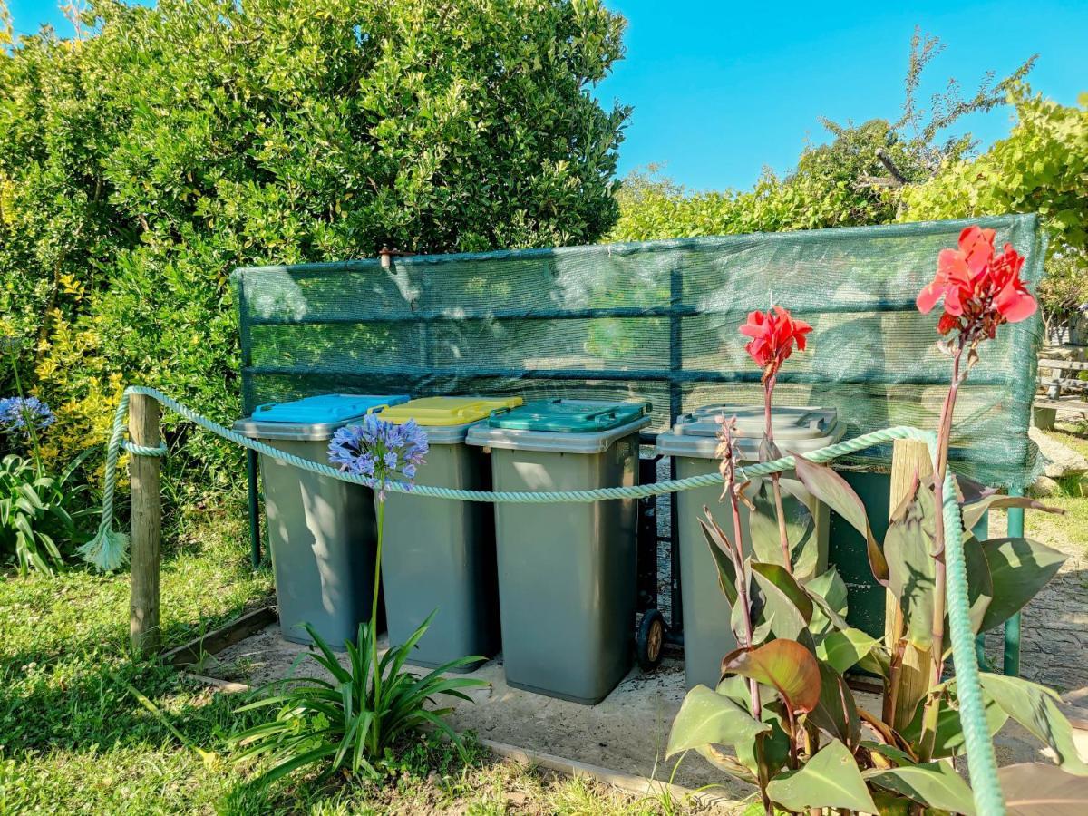 Casa Do Casal - Country House With Swimming Pool 비아나도카스텔로 외부 사진